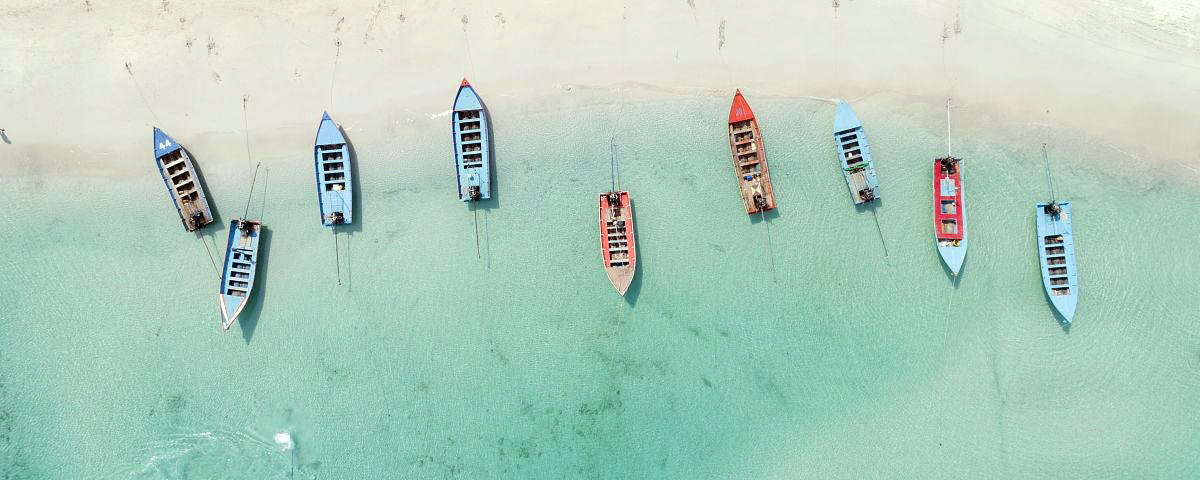 Two group standards for marine parks led by the SIO were officially released.