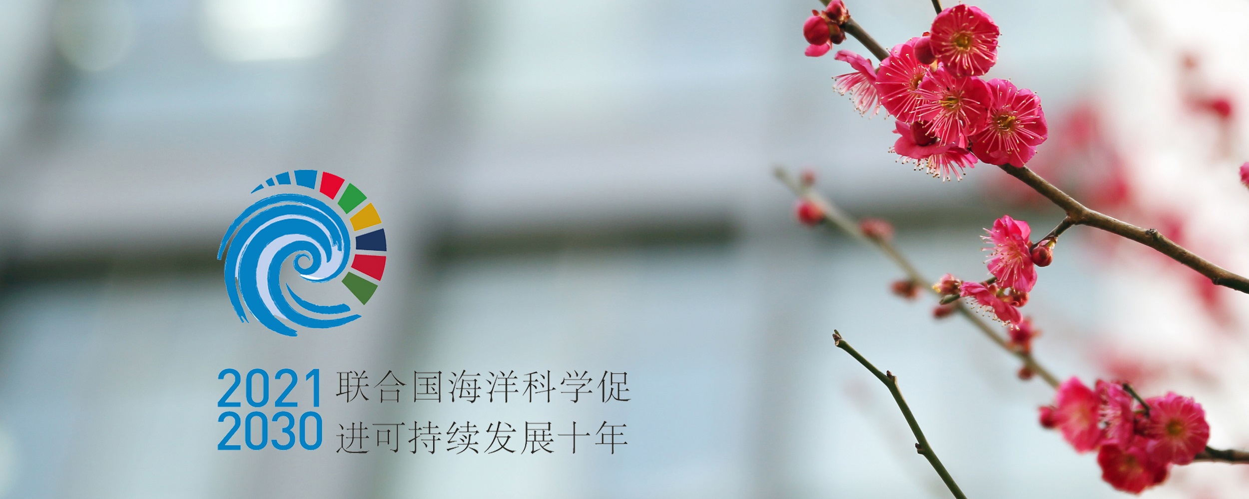 Researcher Wang Yuntao was selected as a member of the Strategic Communications Group of the United Nations “Ocean Decade”